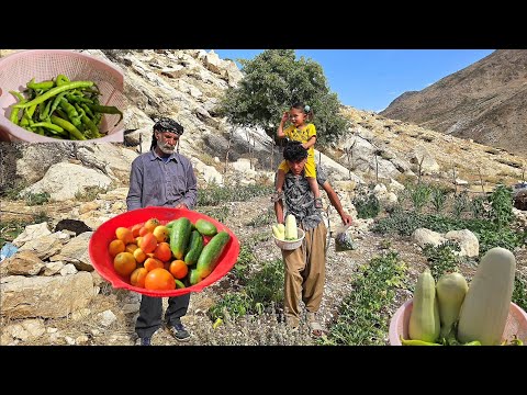 Nomadic life harvesting peppers and tomatoes on a mountain