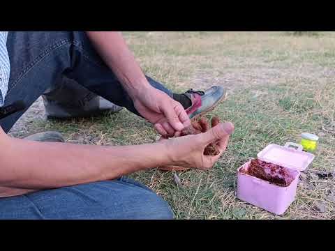 TARİHİ KÖPRÜDE YAĞMUR KAMPI kamp ailekampı kampvideo