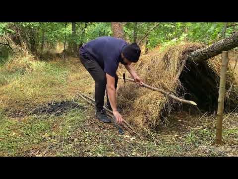 Building a Shelter to hide from the rain Survival in the