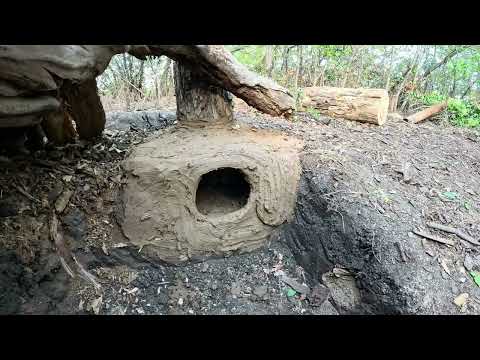 Building a Warm Secret Shelter Under a Fallen Tree