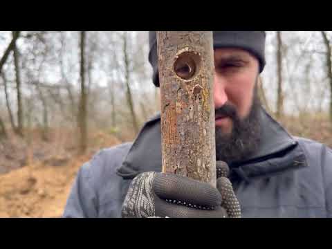 Building a Secret Tree Stump Shelter Extreme Survival
