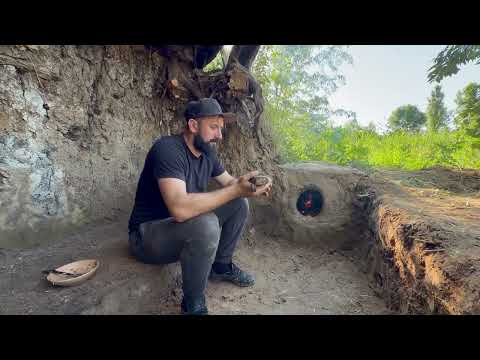Building a secret shelter in the roots of a giant tree next