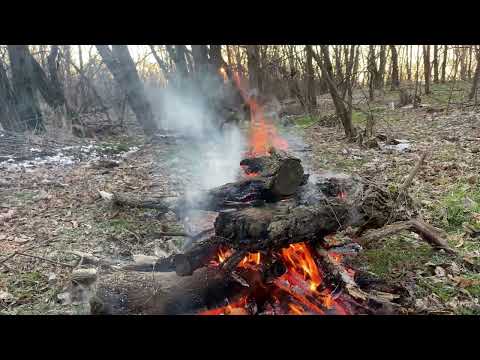 Relaxing Campfire at Sunset in the Forest Sound of a Bonfire