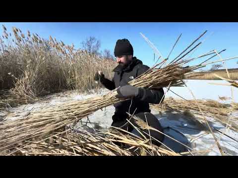 Building a shelter from hay and reeds survival skills