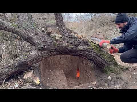 Building a secret survival dugout under a fallen tree