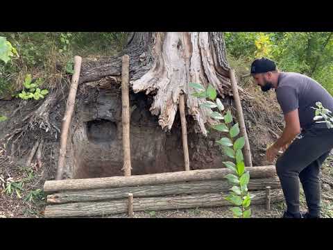 Building a secret shelter in a wolf s den wolves surround