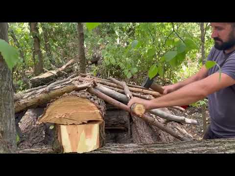 Building a secret survival dugout
