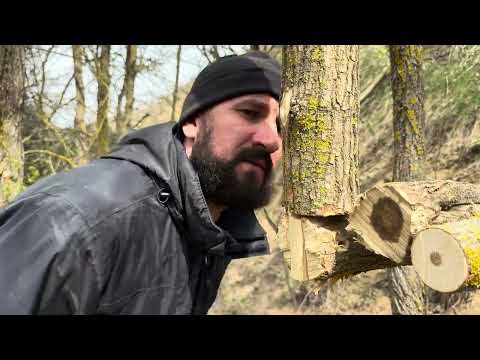 Building A Log Cabin For Amazing Survival Adventures
