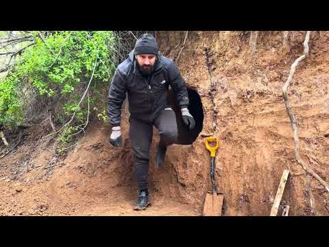 Building a secret dugout in the root of a tree