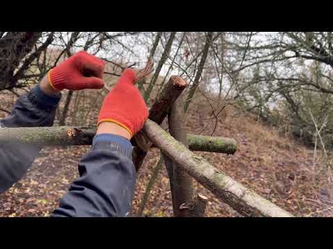 Building a Cozy Shelter Under a Fallen Tree Secrets of