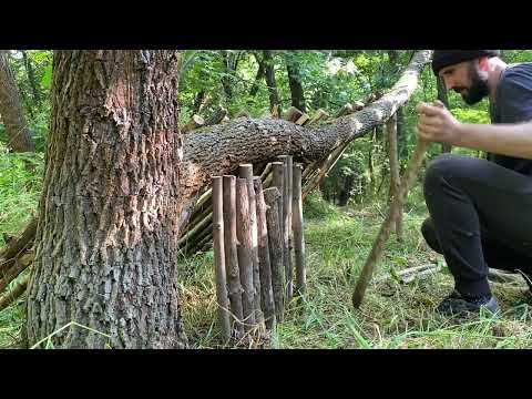 Building a Shelter in the Woods with an eagle Chick