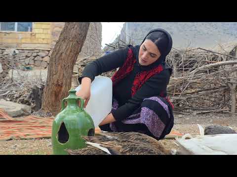 Life In A Iranian Village During The War War Of Isreal Vs