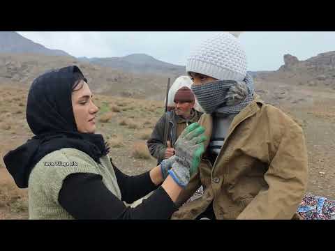 Village Life in Iran Saving a Goat Giving Birth on