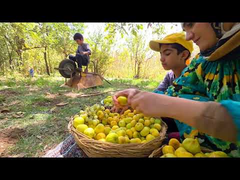 Traditional Cooking Preserving Food for Winter Iranian