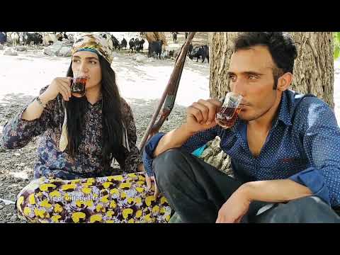 Morning to Evening Nomadic Life with shepherd girl Village
