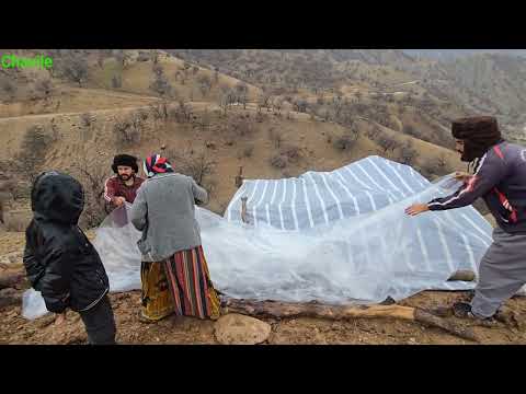 Storm in Zagros Mountains Nomad Family Fighting to Survive