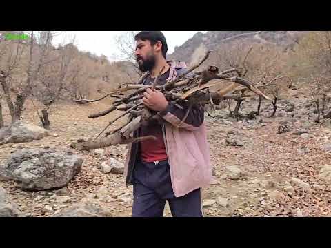 A hard nomadic day collecting firewood and cooking