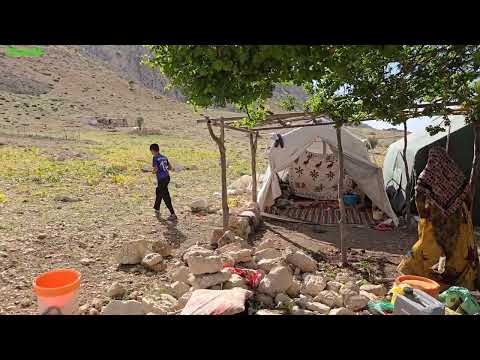 3 000 Meters of Water Pipeline Nomad Family Brings Spring