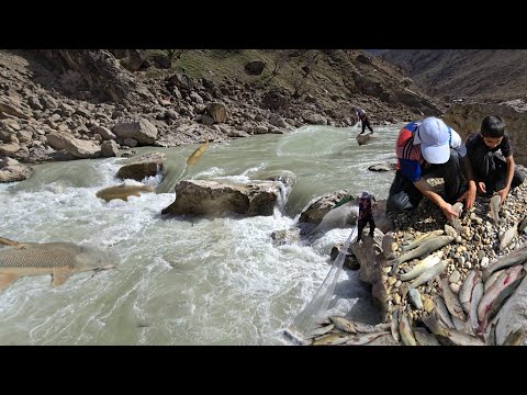 Fishing a Wild River in Zagros Nomad Family Survival