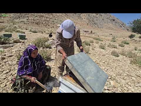 They Risked the Mountains for Wild Honey Nomadic Family s