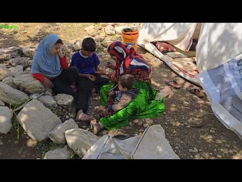 Building a Sheep Shelter in Zagros Mountains Nomad Family
