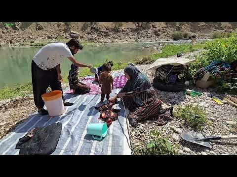 A Day on a River Island Nomadic Family s Life in the Wild