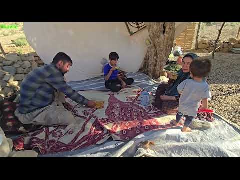 Into the Wild Zagros Nomad Shepherds Hidden Springs