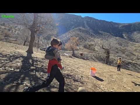 How do we survive the Zagros winter Building a nomadic