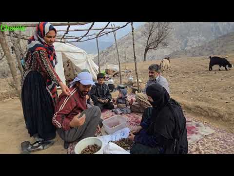 Real Nomadic Family Life in Zagros Mountains Building a
