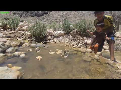 A Peaceful Day at a Crystal Spring Nomad Family Life in the