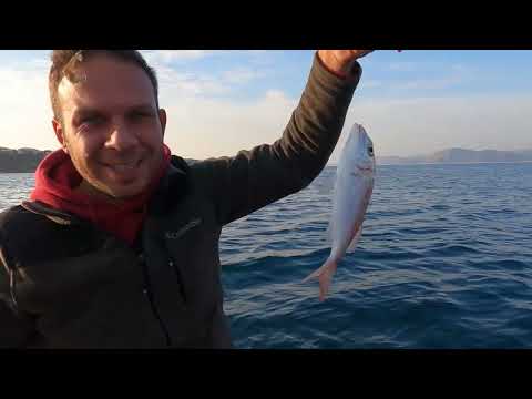 2022 En iyi 10 Balık Avı Anlarımız TOP 10 Best Fishing