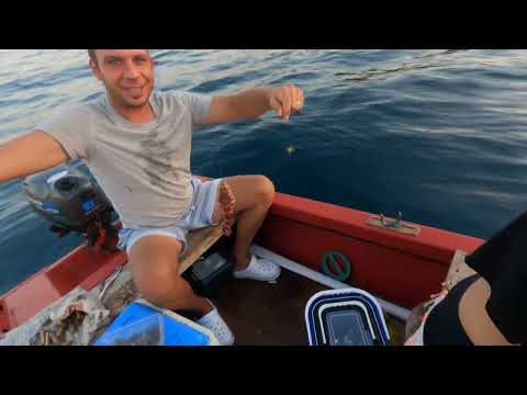 Çeşme de Dev Kalamarı Bulduk Oltalar Balıkla Doldu