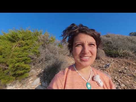 BURADA ÇEŞİT BOL AYNI KOYDA İKİ DİSİPLİNLE BALIK AVI