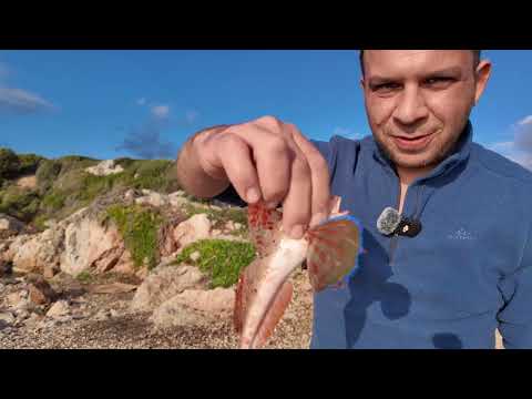 KIYIDAN KİLOLUK MERCAN AVI MERA VE TAKIM BİLGİSİ