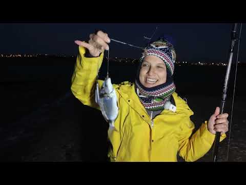 ÇEŞME DE YENİ BALIK AVI MERASI KEŞFETTİK