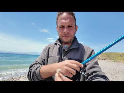 LEVREK ÇİPURA VE DAHASI CENNET KOYDA KAMP VE BALIK AVI
