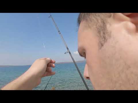 Çeşme Kıyıdan Balık Avı Denizlerin En Zehirli Balığını
