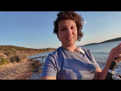 VURUŞLARIN KESMEDİĞİ BOL ÇİPURALI KOYDA BALIK AVI