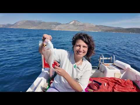 BÜTÜN GÜN UĞRAŞTIK AKŞAM YEMEĞİNİ ÇIKARDIK