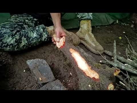 Bushcraft Trip Making fire with stones dark forest jackal