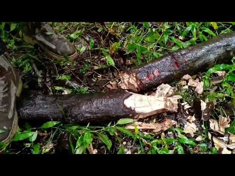 Relaxing Solo Camping in Heavy Rain Tarp Shelter Fire