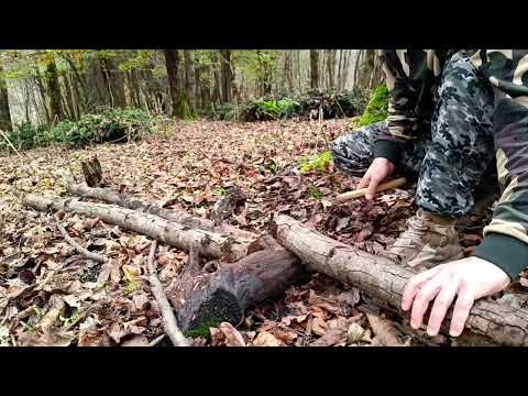 48 Hours in the Wild Forest Among Boars Surviving Alone in