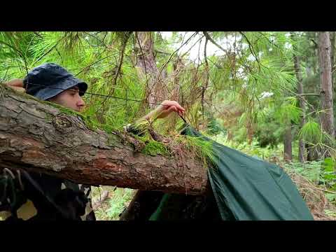 Building a wooden shelter horror camp solo camping Making a