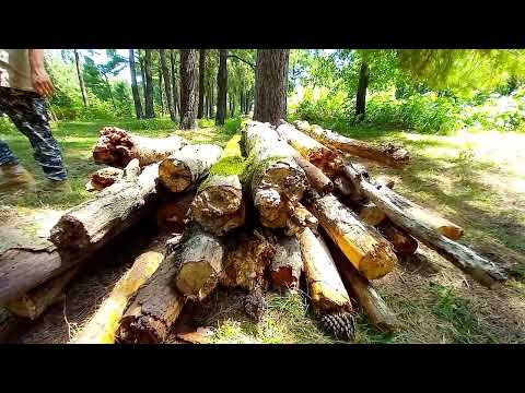 Construction of a forest hut Forest hut with weathered wood