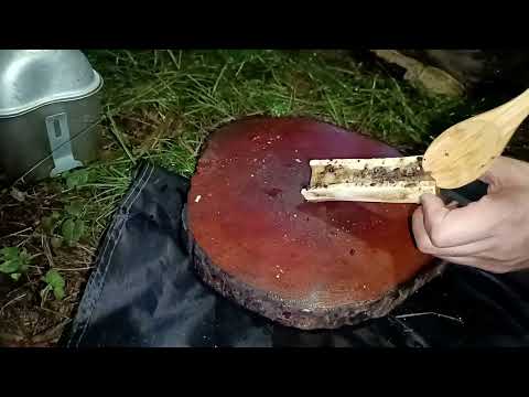 Solo camping in heavy rain and thunderstorm Non stop