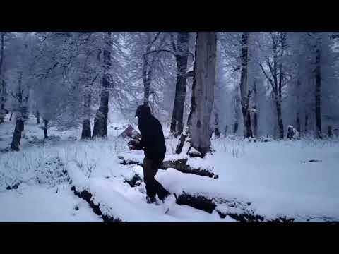 Solo Snow Camping Overnight How I Survived Alone in the