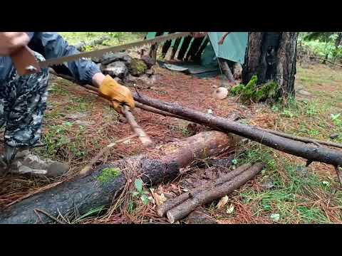 Building a cozy little shelter under the tree Rainy weather