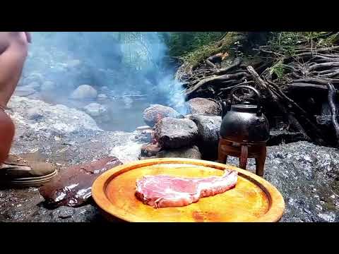 Making forest steak Picking raspberries in Hyrcanian