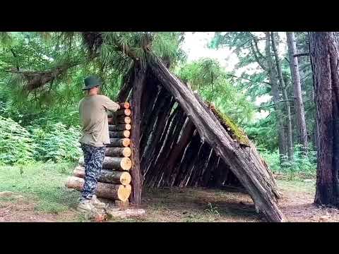 7 days of time to build a wooden hut Wooden shelter Wooden