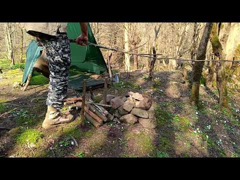 Night Camping in the Forest Without Any Light Solo camping